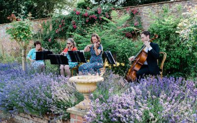 An interview with a wedding string quartet